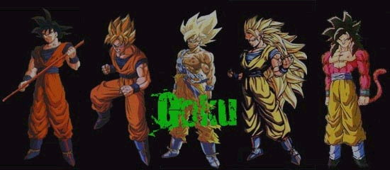 ssj5goku.jpg