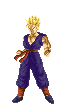 ssj5goku.jpg